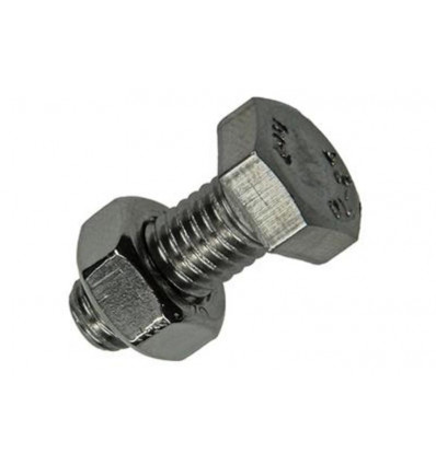 TAPBOUT+MOER ROESTVRIJSTAAL 2 ST M8X20