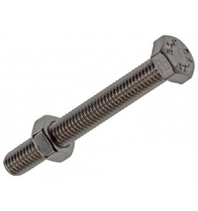 TAPBOUT+MOER ROESTVRIJSTAAL 5 ST M5X40