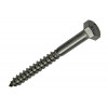 HOUTDRAADBOUT ROESTVRIJSTAAL 10 ST 6 X 60 MM