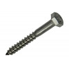 HOUTDRAADBOUT ROESTVRIJSTAAL 4 ST 6 X 50 MM