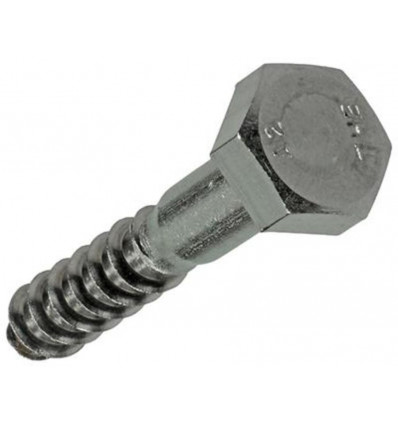 HOUTDRAADBOUT ROESTVRIJSTAAL 2 ST 10 X 60 MM