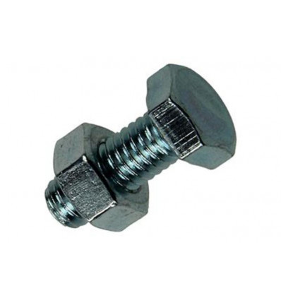 TAPBOUT + MOER VERZINKT 50 ST M6 x 16 MM