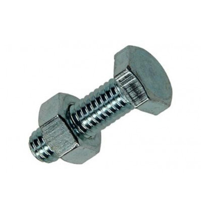 TAPBOUT + MOER VERZINKT 50 ST M6 x 20 MM