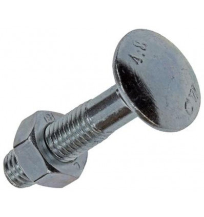 HOUTBOUT + MOER VERZINKT 22 ST M8 x 40 MM