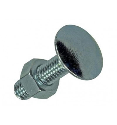 HOUTBOUT + MOER VERZINKT 32 ST M6 x 25 MM