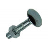 HOUTBOUT + MOER VERZINKT 30 ST M6 x 30 MM
