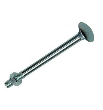 HOUTBOUT + MOER VERZINKT 12 ST M8 x 100 MM