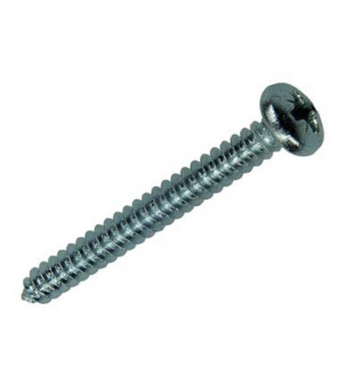zelftap schroef cyl kop 100st 5.5 x 50 mm