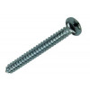 zelftap schroef cyl kop 100st 5.5 x 50 mm