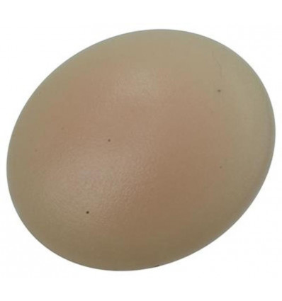 AFDEKKAPJE VR PZ SCHR.KUNST.BEIGE 40 ST PZ 2