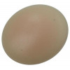 AFDEKKAPJE VR PZ SCHR.KUNST.BEIGE 40 ST PZ 2