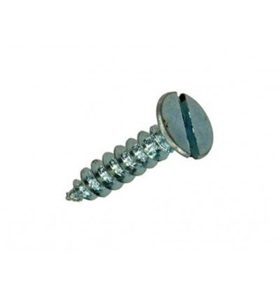 HOUTSCHROEF VERZONKEN KOP VERZ. 30 ST 2,5 X 12 MM
