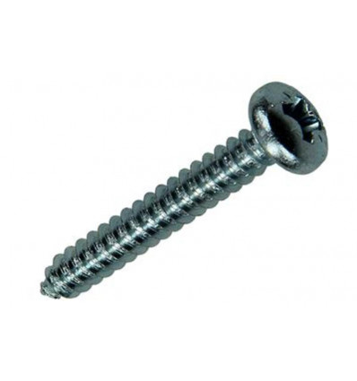 ZELFTAPPENDE SCHROEF CYL KOP VERZ. 7 ST 5,5 X 38 MM